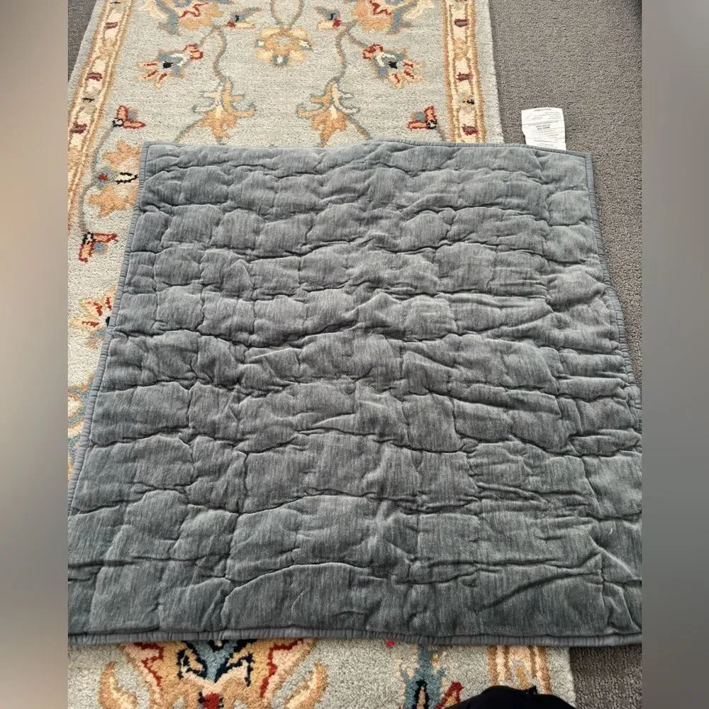 Pottery Barn Cozy Cloud Quilted Pillow Sham in Steel Blue